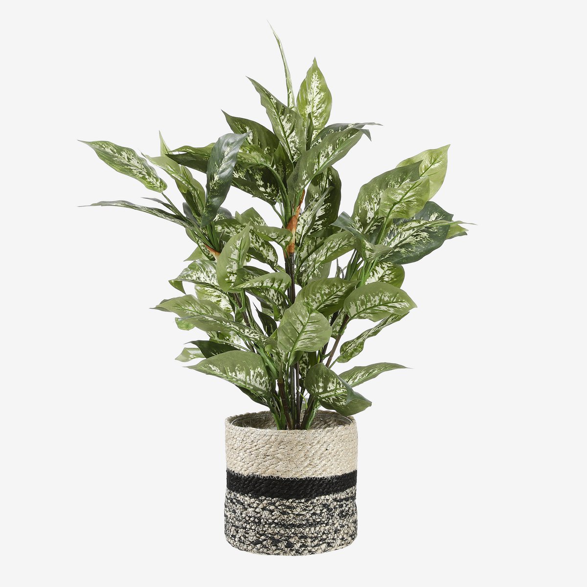 Mica Decorations - Dieffenbachia Kunstplant in Bloempot Stan - H70 x Ø55 cm - Groen