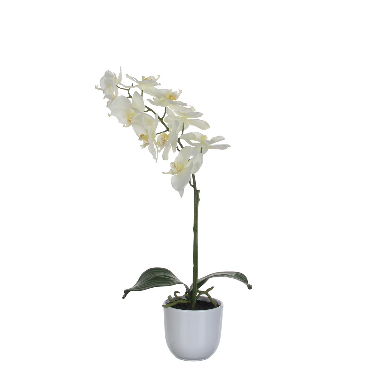 Mica Decorations - Phalaenopsis Kunstplant in Bloempot Tusca - H60 x Ø16 cm - Wit