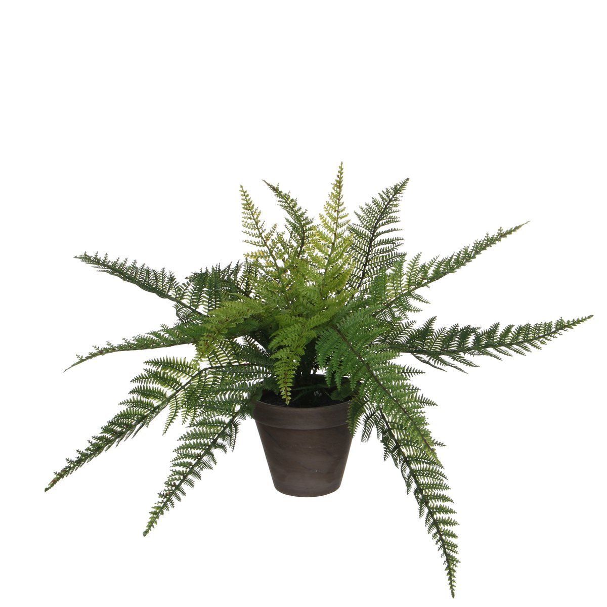 Mica Decorations - Varen Kunstplant in Bloempot Stan - H38 x Ø50 cm - Groen