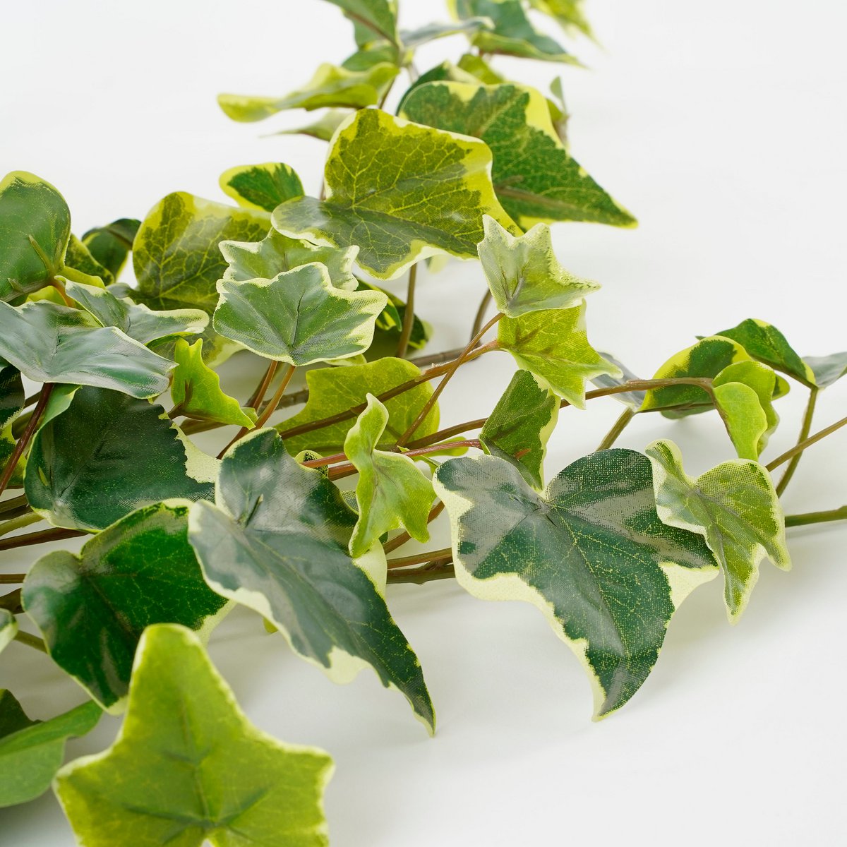 Mica Decorations - Hedera Kunst Hangplant - H71 cm - Groen Bont