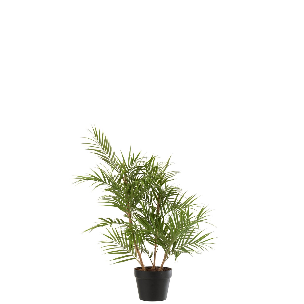 J-Line - Bergpalm In Pot Plastic Groen/Zwart Small