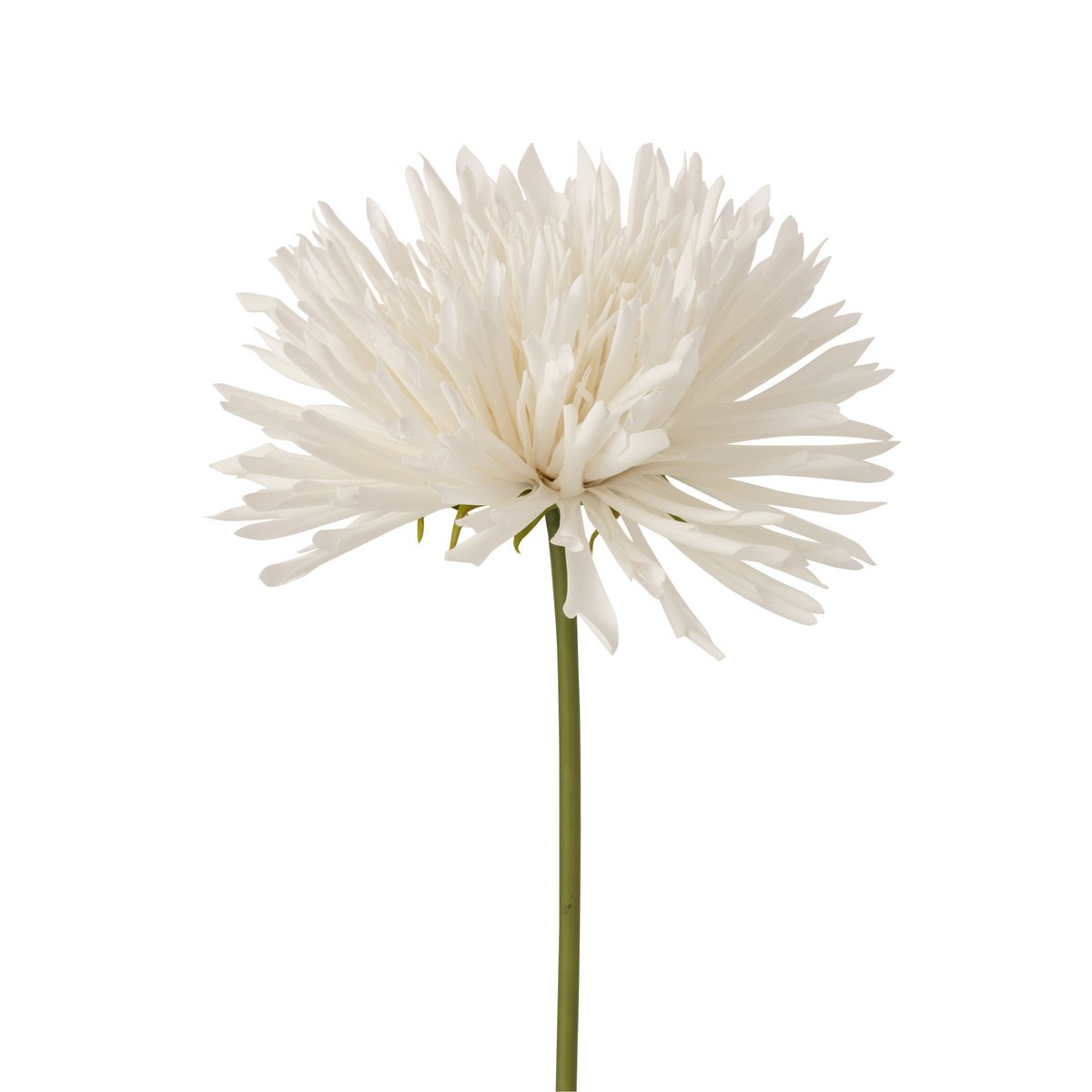 J-Line - Chrysant Plastic Wit Large