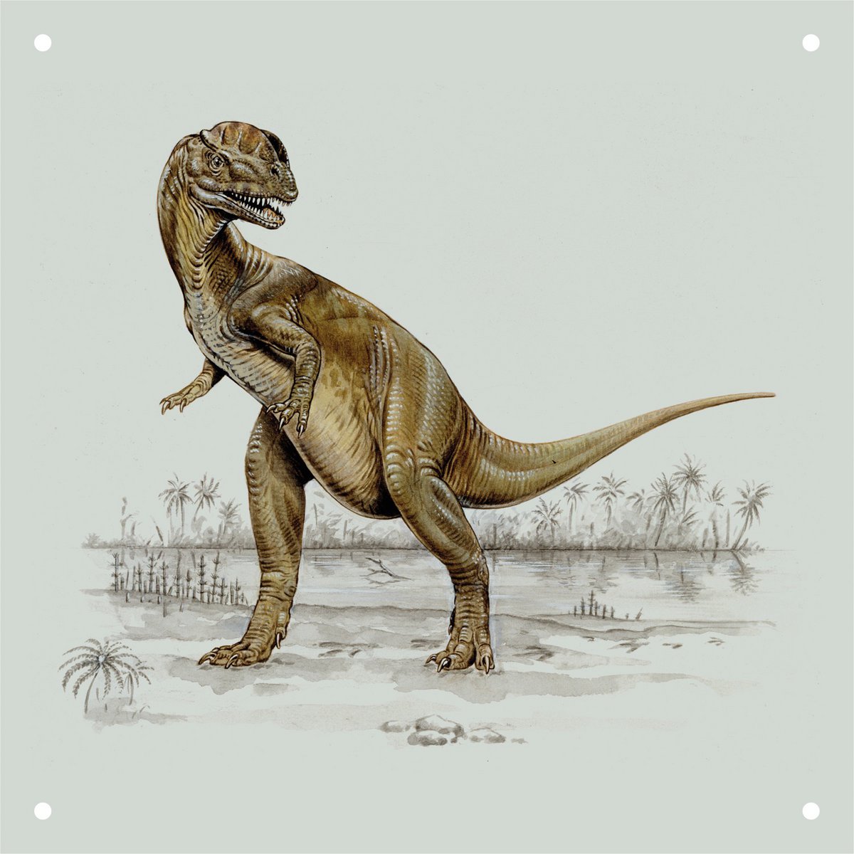 IXXI - Dino World Wall art - Poster - Wanddecoratie