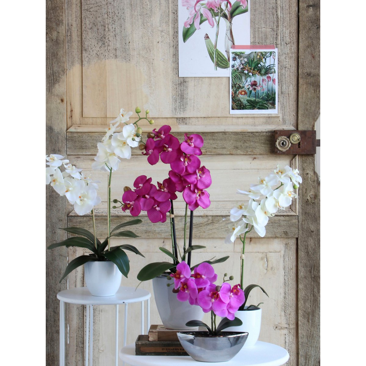 Mica Decorations - Phalaenopsis Kunstplant in Bloempot Tusca - H60 x Ø16 cm - Wit