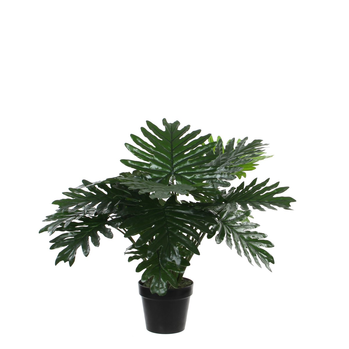 Mica Decorations - Philodendron Kunstplant - H60 x Ø80 cm - Groen