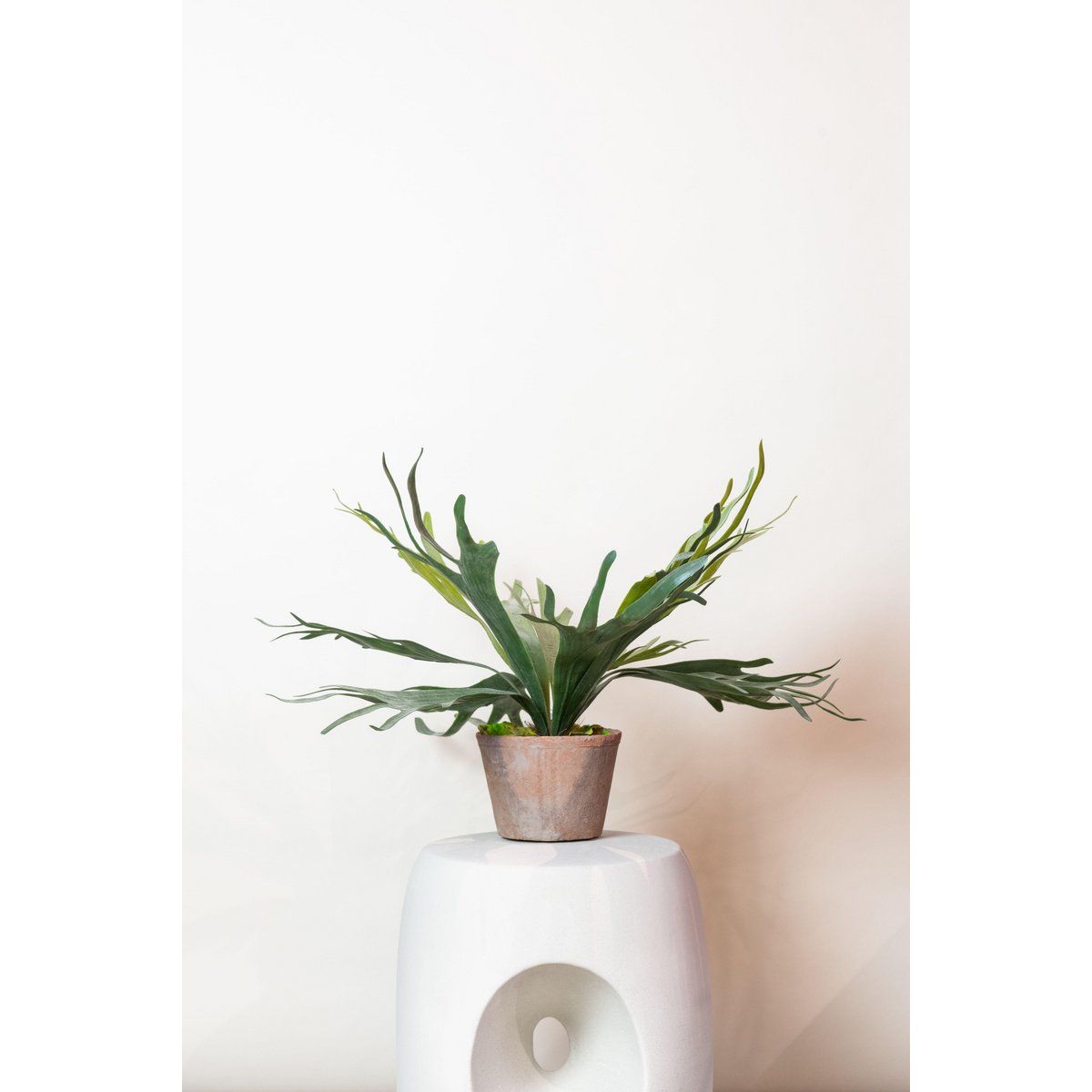 Green BoutiQ - Kunstplant - Staghorn Fern - Hertshoorn - 50 cm