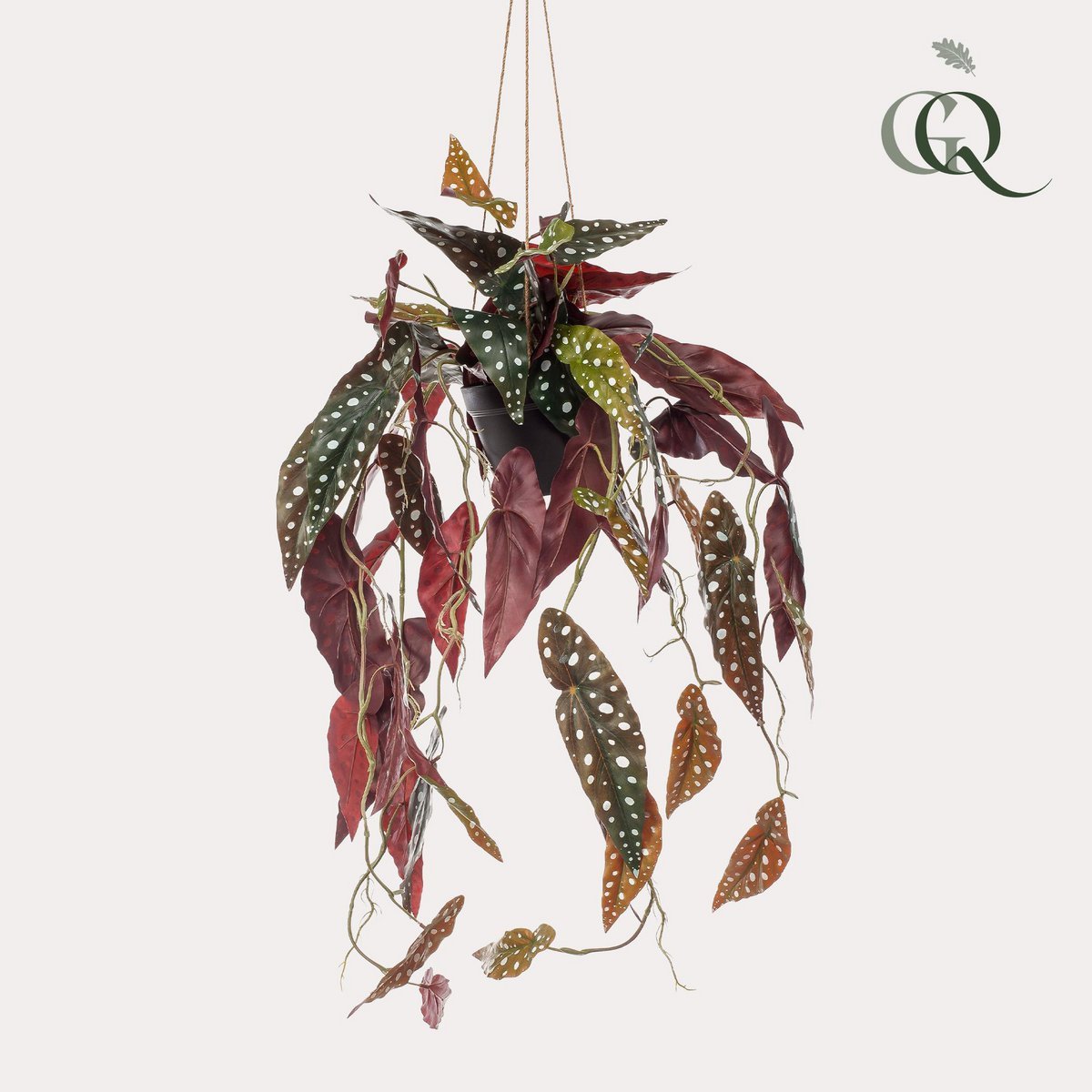 Green BoutiQ - Kunstplant - Begonia Maculata - Stippenbegonia - 80 cm