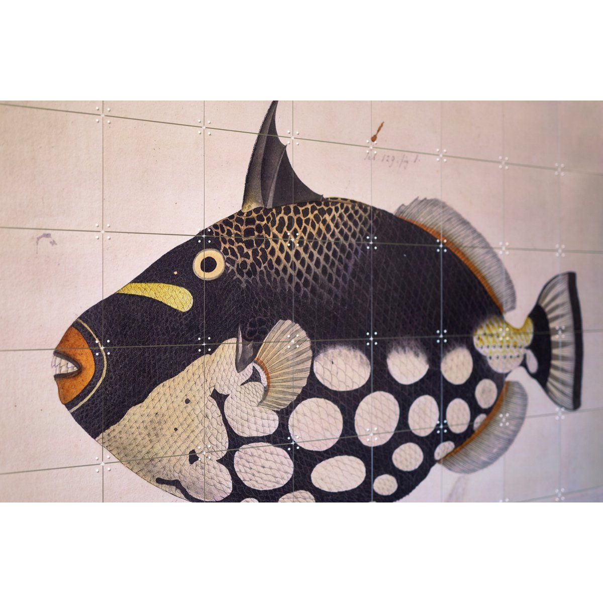 IXXI - Black Fish Wall art - Poster - Wanddecoratie - S - white, black