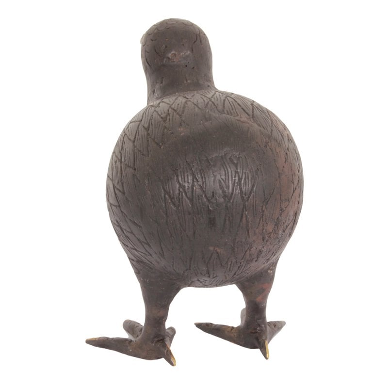 Pole to Pole - H29 Kiwi Vogel S