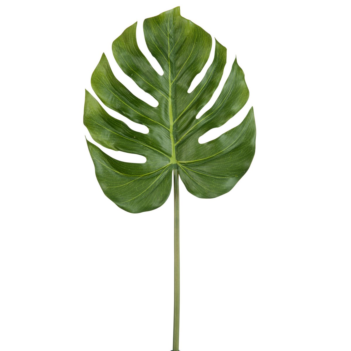 J-Line - Philodendron Real Touch Enkblad Groen