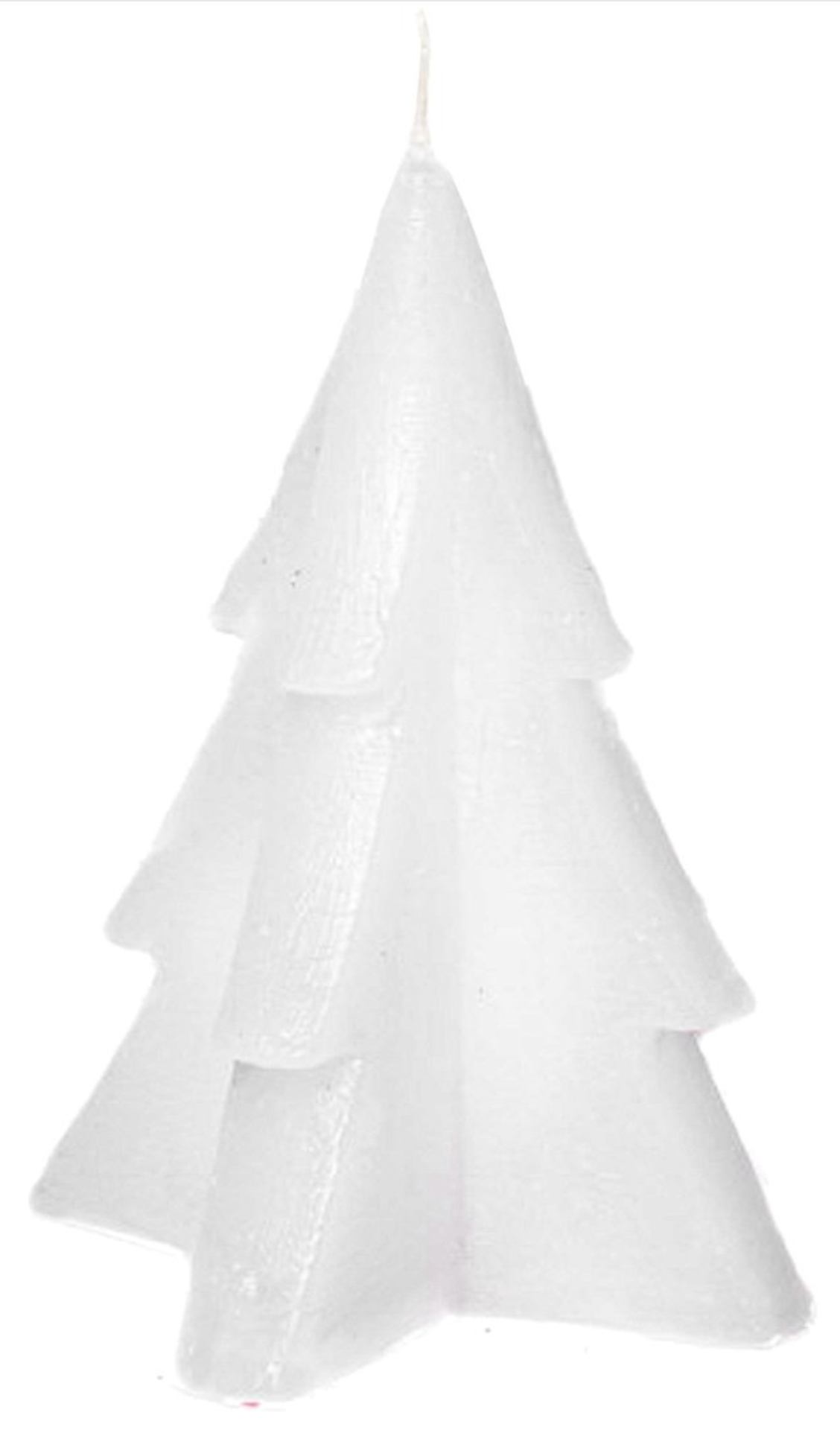 Home Society - Weihnachtsbaumkerze 'Denn' (Schwarz) - 6er-Set (L)