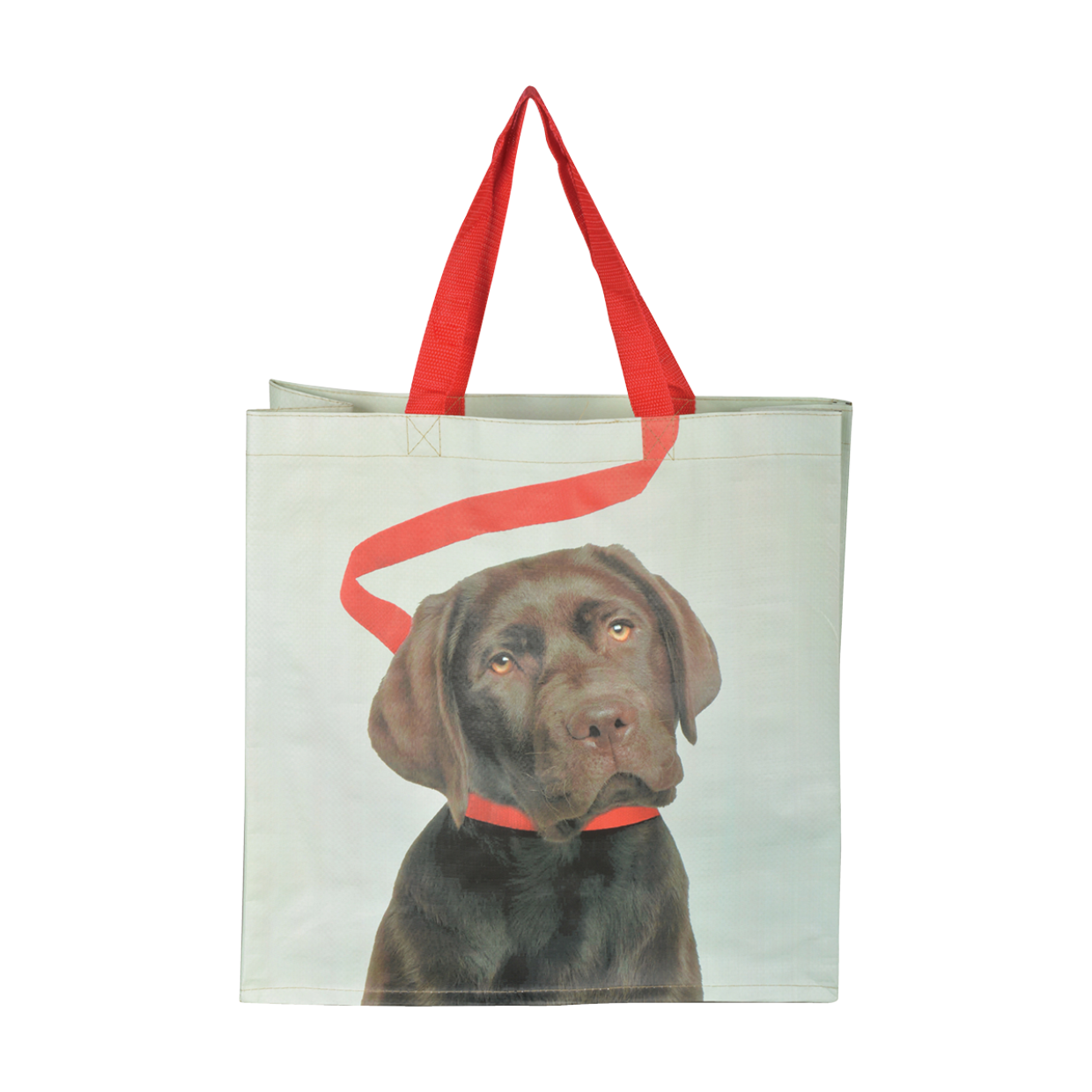 Esschert Design - Boodschappentas 'Hond aan riem' (Versie B, 39cm)