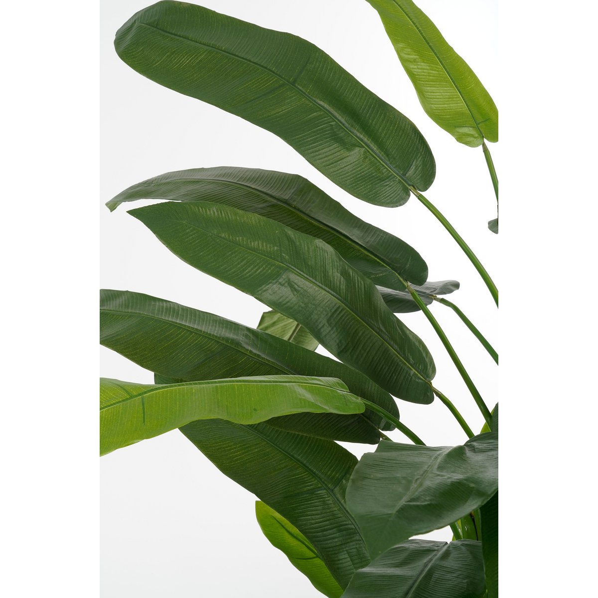 Mica Decorations - Heliconia Kunstplant - H175 x Ø140 cm - Groen