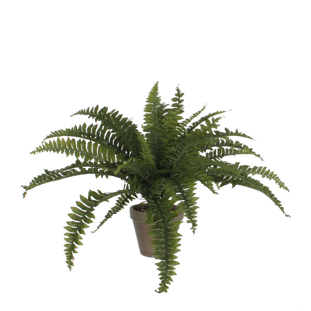 Mica Decorations - Varen Kunstplant in Bloempot Stan - H40 x Ø70 cm - Groen