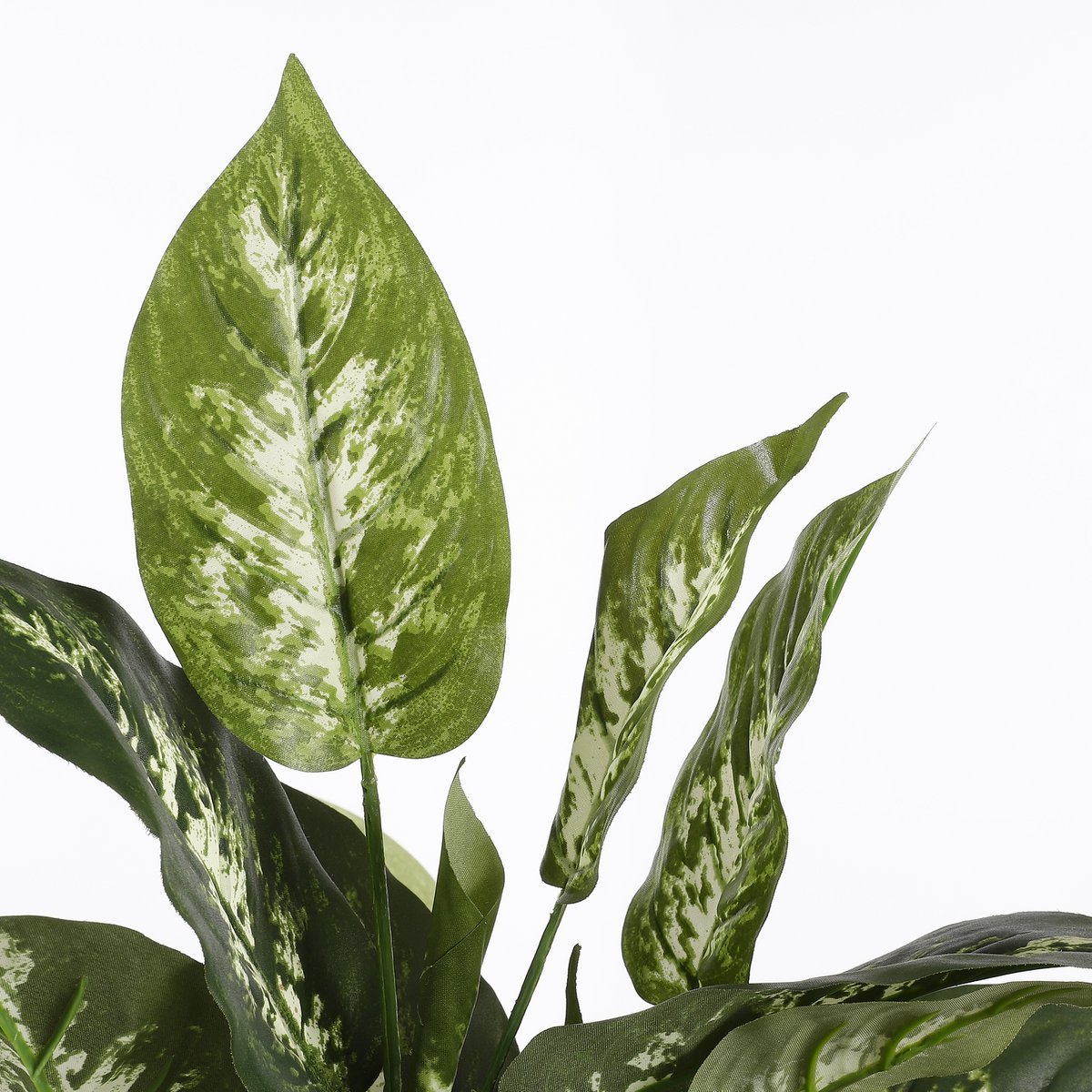 Mica Decorations - Dieffenbachia Kunstplant in Bloempot Stan - H70 x Ø55 cm - Groen