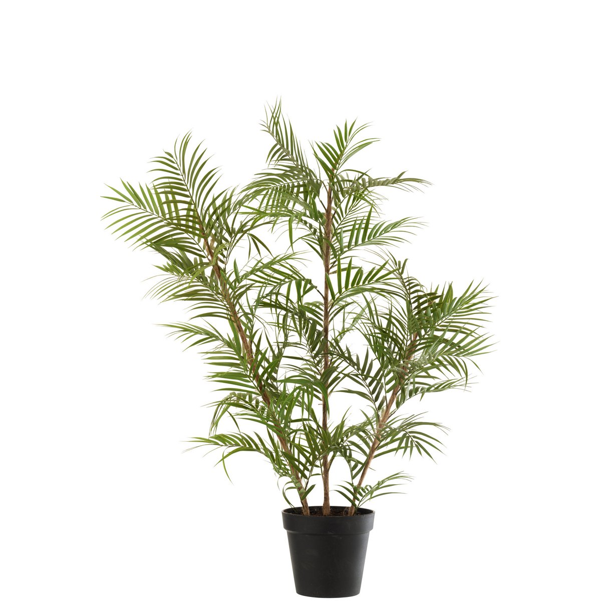 J-Line - Bergpalm In Pot Plastic Groen/Zwart Large