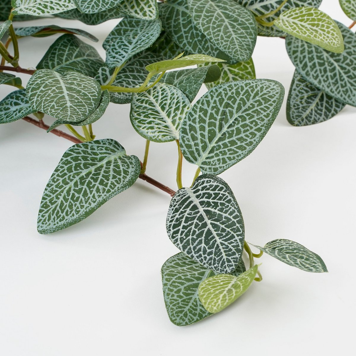 Mica Decorations - Fittonia Kunst Hangplant - L15 x B20 x H54 cm - Groen