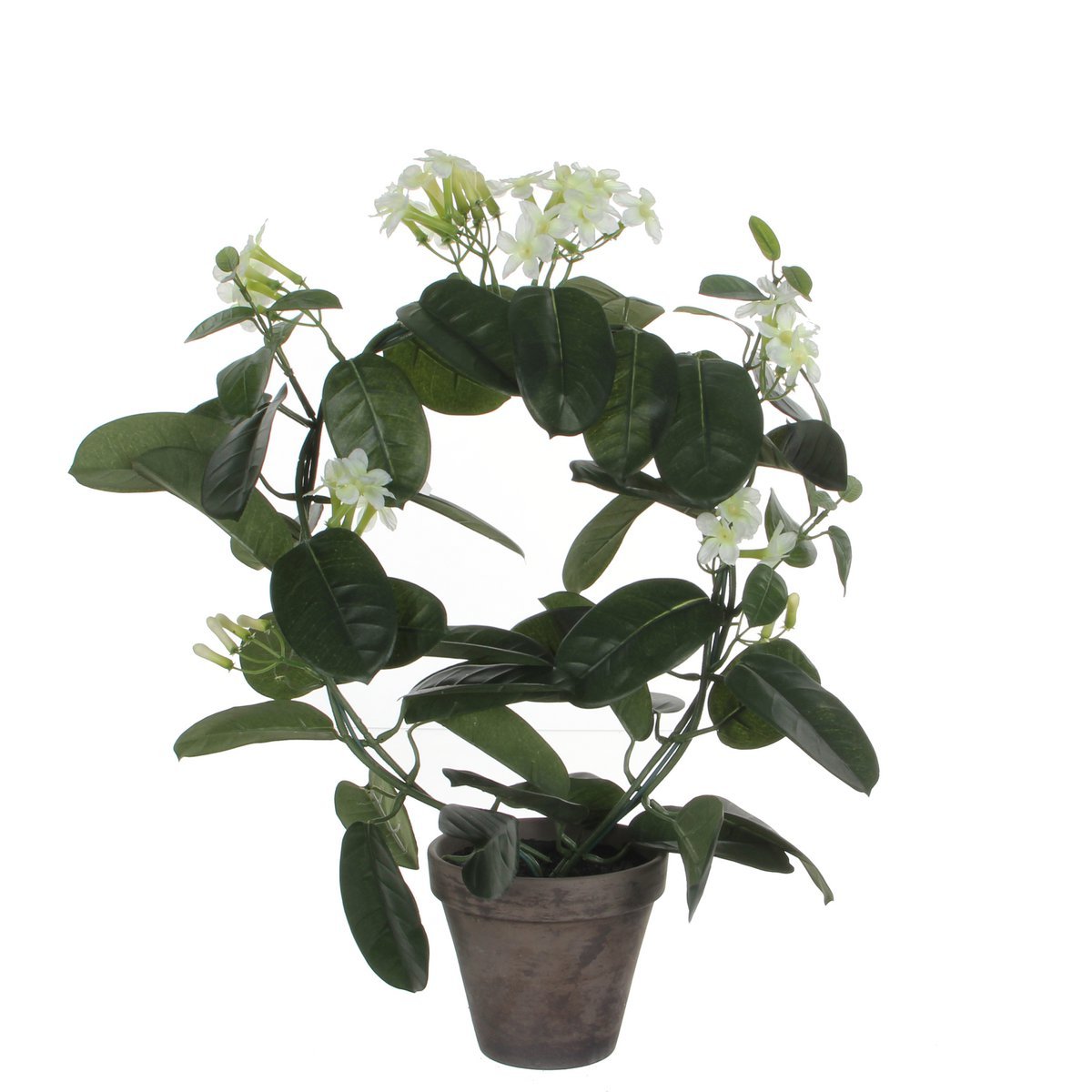 Mica Decorations - Stephanotis Kunstplant in Bloempot Stan - H50 x Ø40 cm - Wit