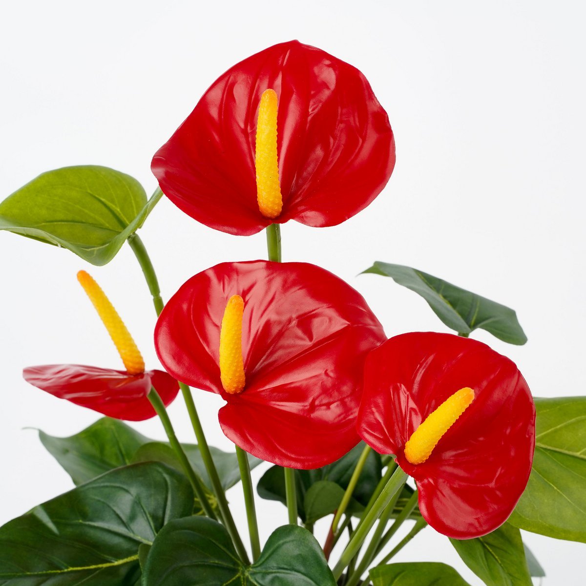 Mica Decorations - Anthurium Kunstplant in Bloempot Stan - H38 x Ø30 cm - Rood