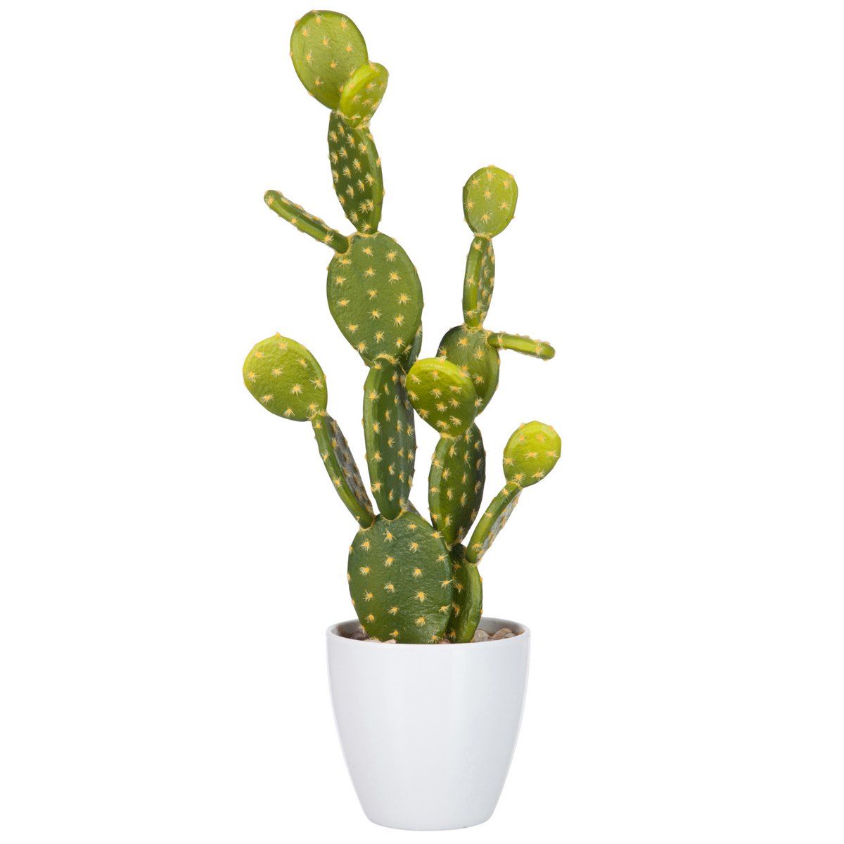 J-Line - Vijgcactus Groen/Melamine Wit Large