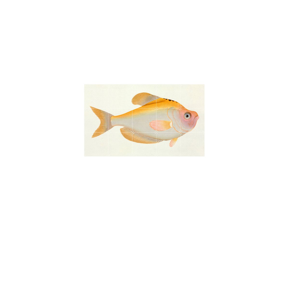 IXXI - Yellow Fish Wall art - Poster - Wanddecoratie - L - yellow