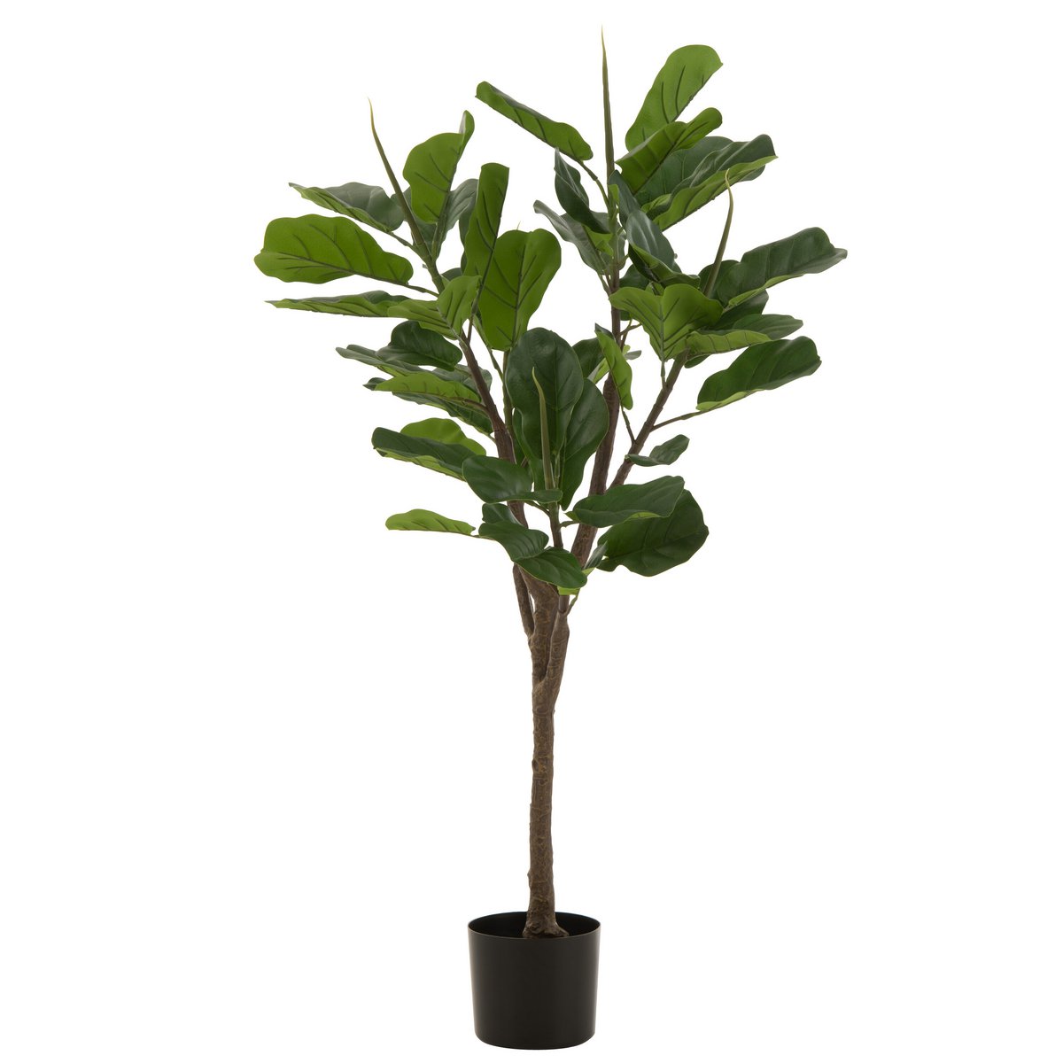 J-Line - Vioolbladplant Plastic Groen