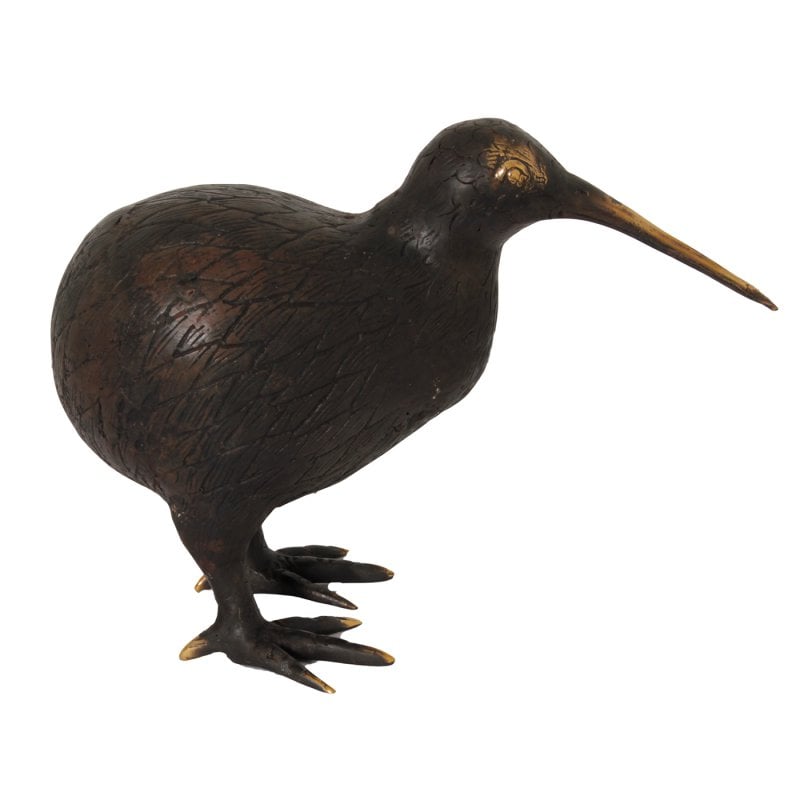 Pole to Pole - H29 Kiwi Vogel S