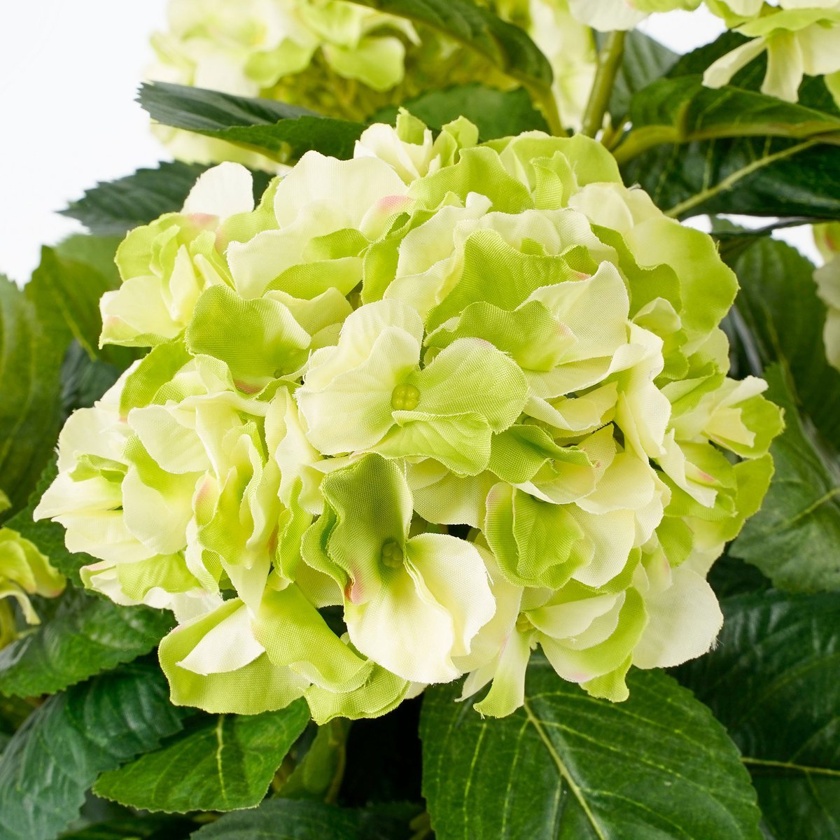 Mica Decorations - Hortensia Kunstplant in Bloempot Stan - H45 x Ø45 cm - Groen