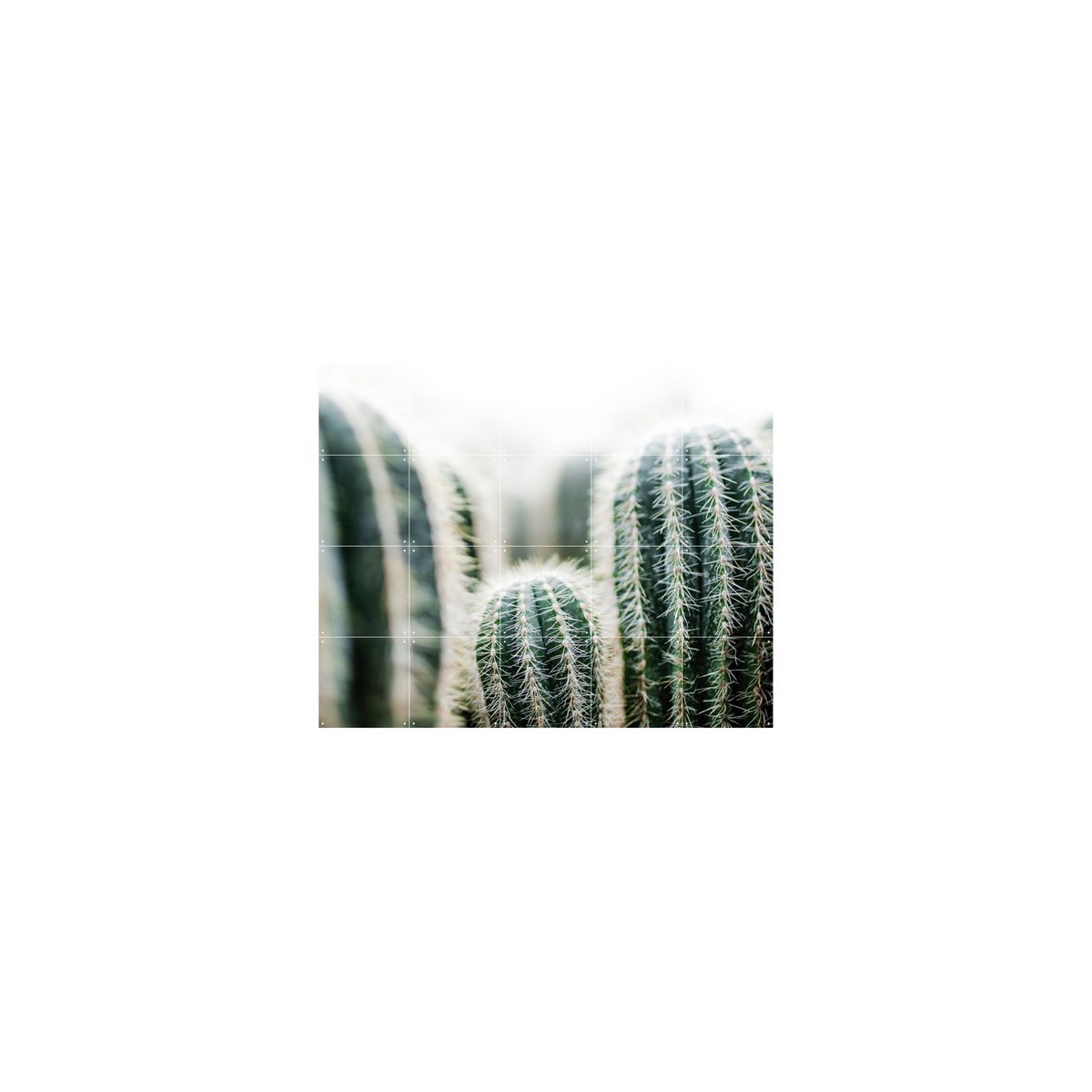 IXXI - Cactus en bladeren Wall art - Poster - Wanddecoratie - L - 160x120 - grey