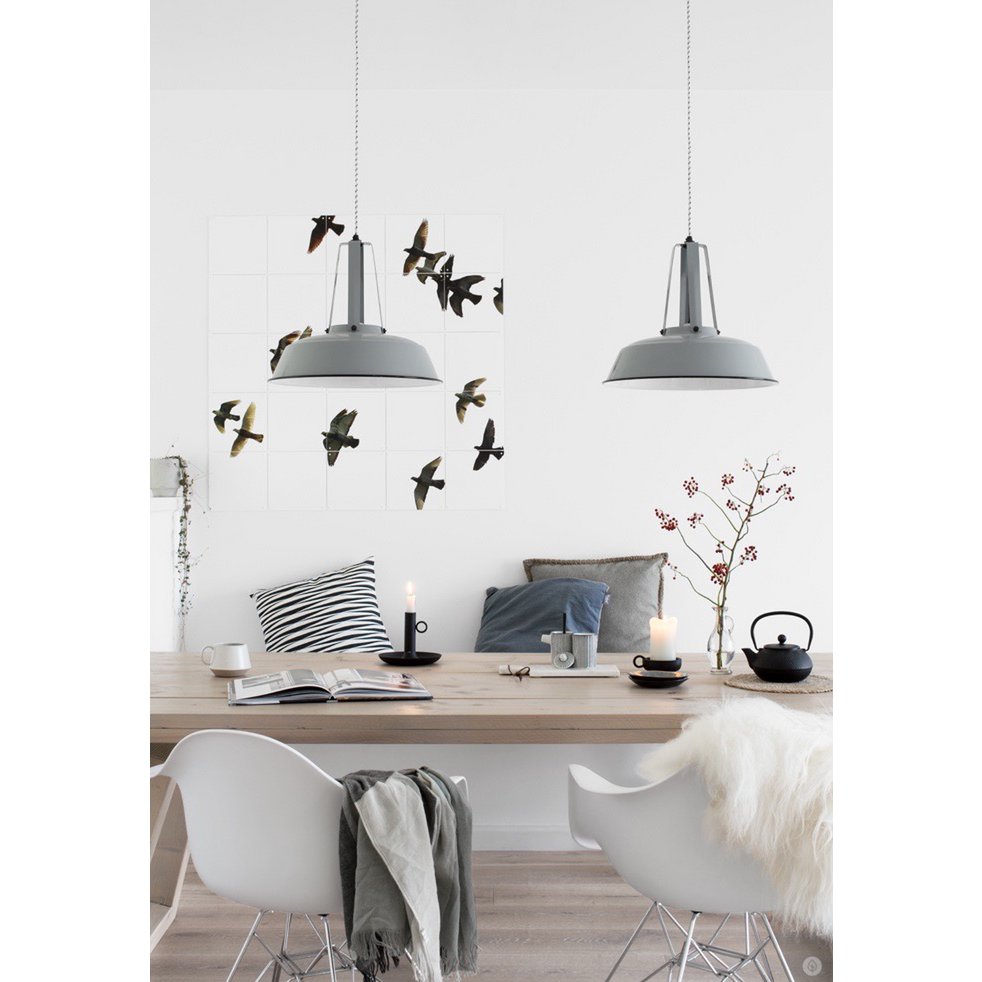 IXXI - Vogels Wall art - Poster - Wanddecoratie - L - 140x140 - black, white