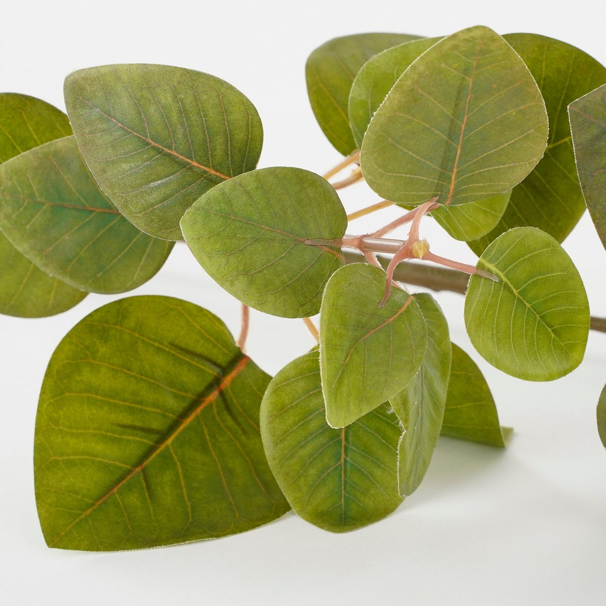 Mica Decorations - Eucalyptus Kunstplant - L12 x B28 x H64 cm - Groen