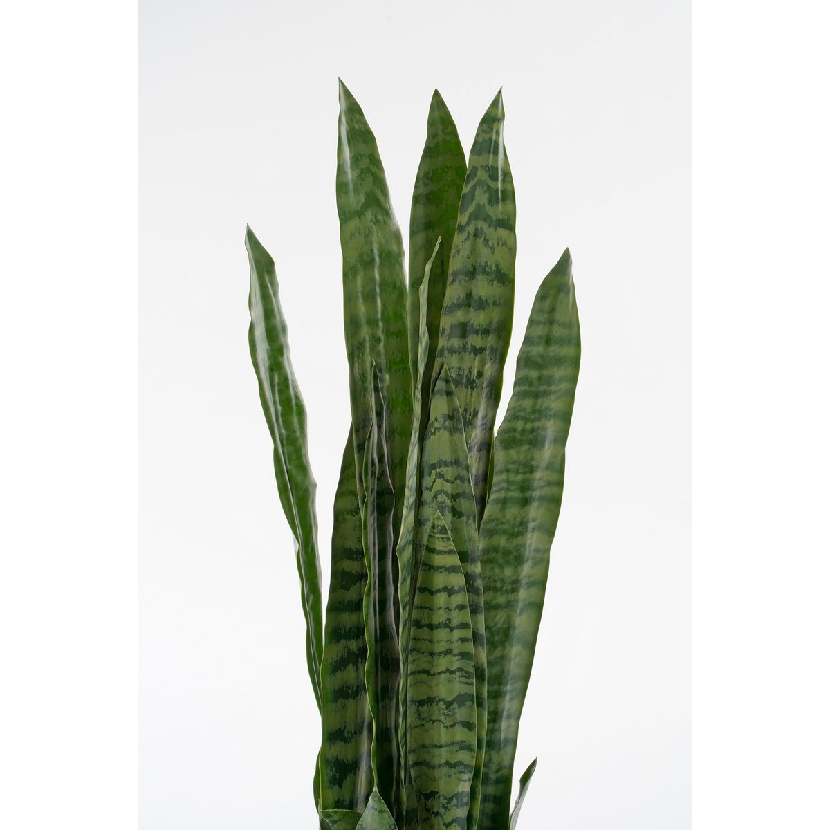 Mica Decorations - Sanseveria Kunstplant in Bloempot - H80 x Ø15 cm - Groen