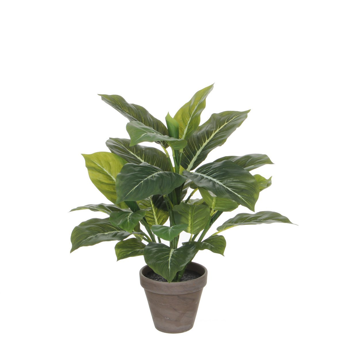 Mica Decorations - Evergreen Kunstplant in Bloempot Stan - H49 x Ø40 cm - Groen