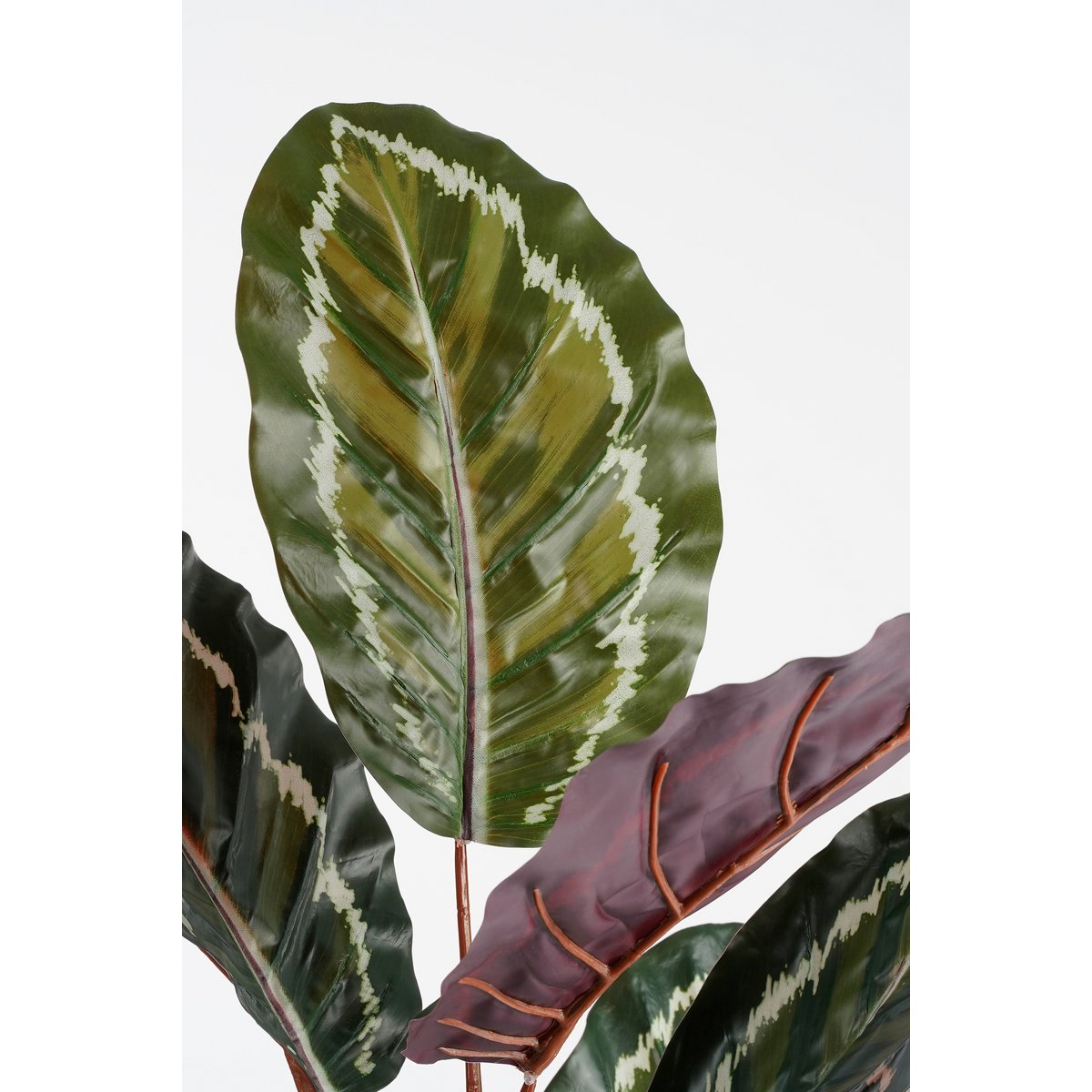 Mica Decorations - Calathea Roseopicta Kunstplant - H90 x Ø60 cm - Groen