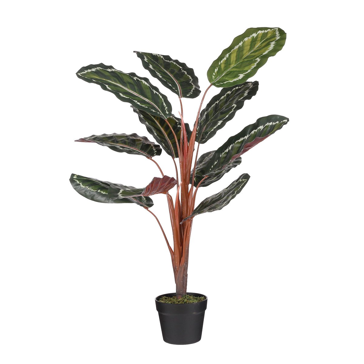 Mica Decorations - Calathea Roseopicta Kunstplant - H90 x Ø60 cm - Groen