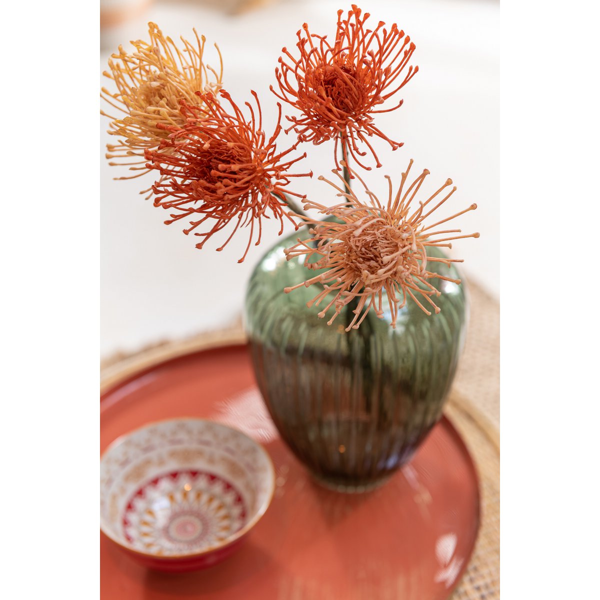 J-Line - Leucospermum Plastic Oranje Groot