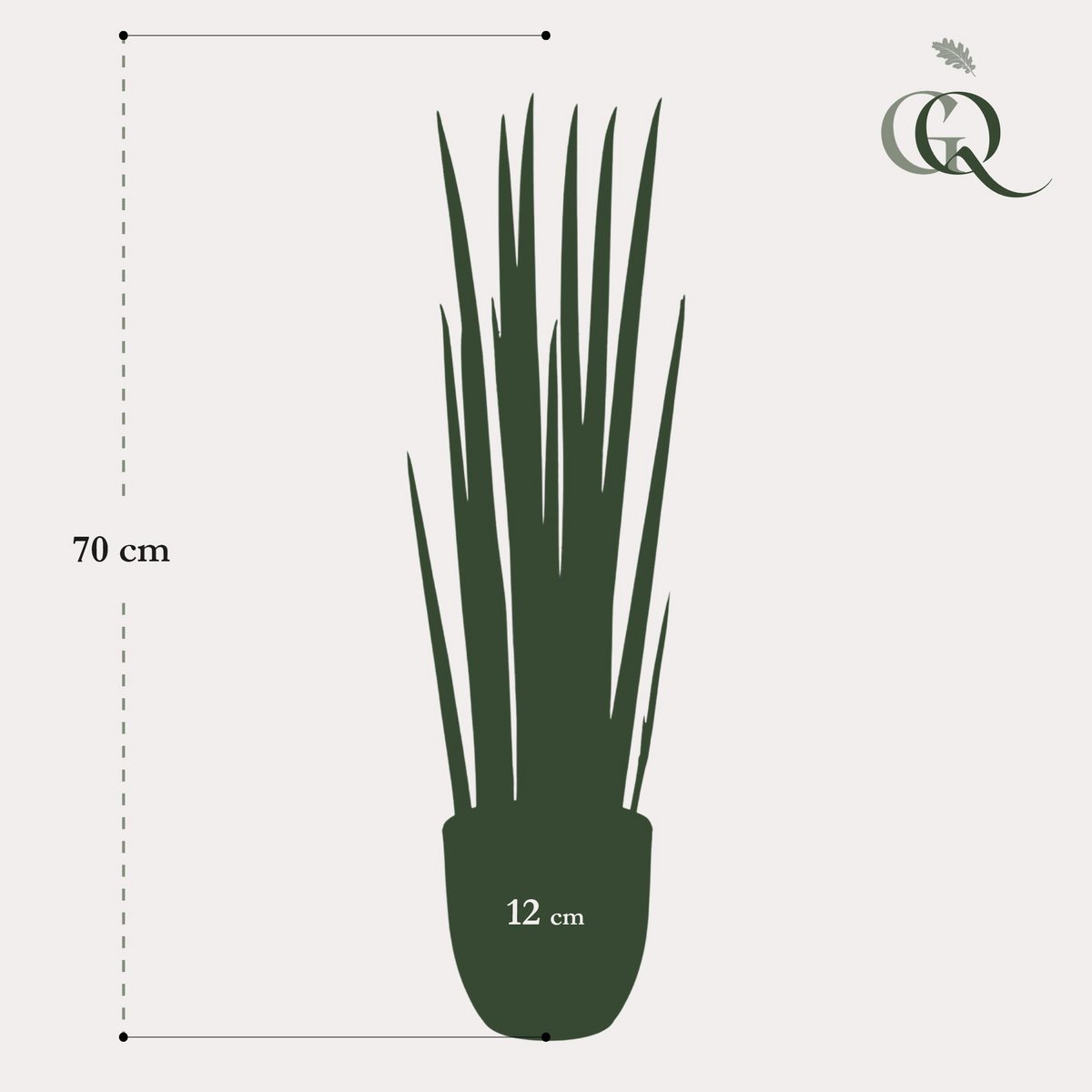 Green BoutiQ - Kunstplant - Sanseveria Cylindrica - Vrouwentong - 70 cm