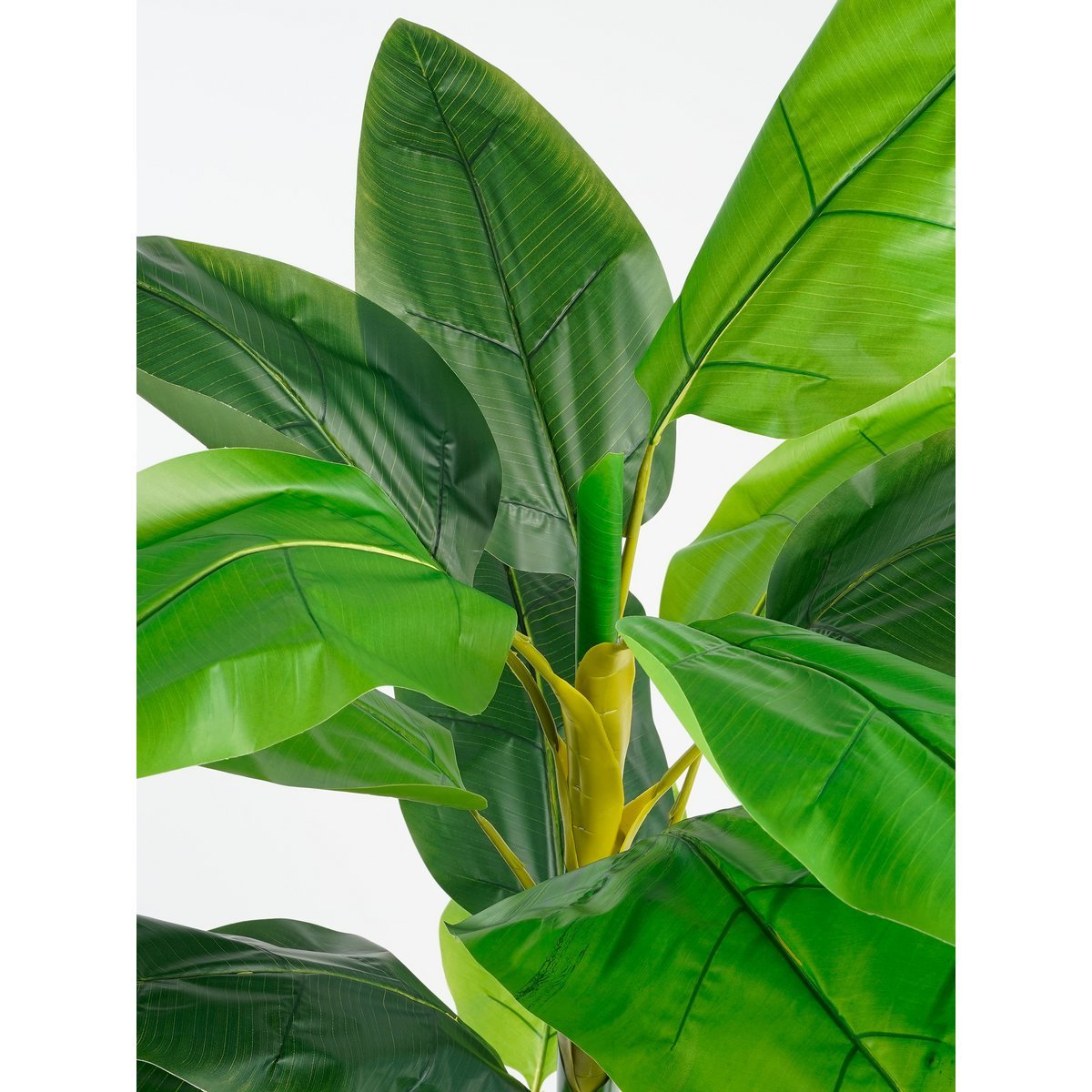 Mica Decorations - Strelitzia Kunstplant - H150 x Ø40 cm - Groen