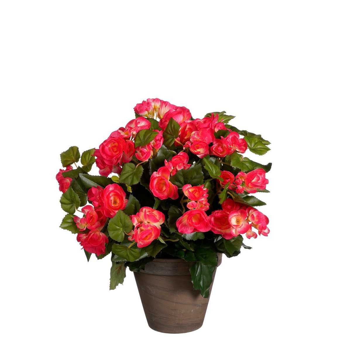 Mica Decorations - Begonia Kunstplant in Bloempot Stan - H37 x Ø36 cm - Donkerroze