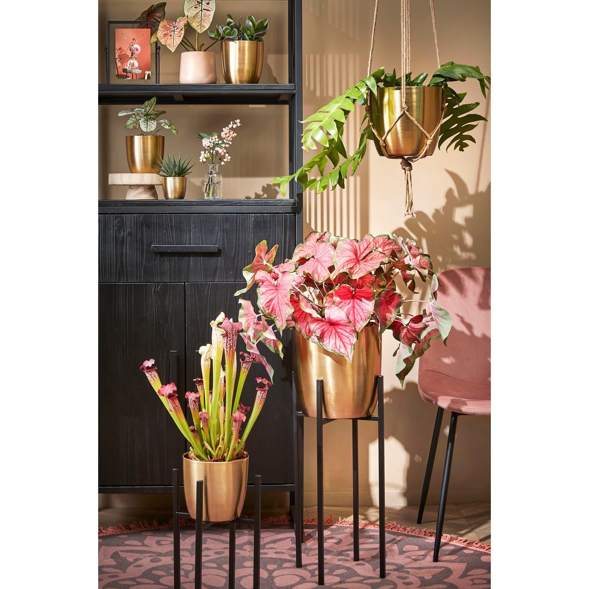 Mica Decorations - Ascot Plantenstandaard XL - L42 x B42 x H50 cm - Metaal - Zwart