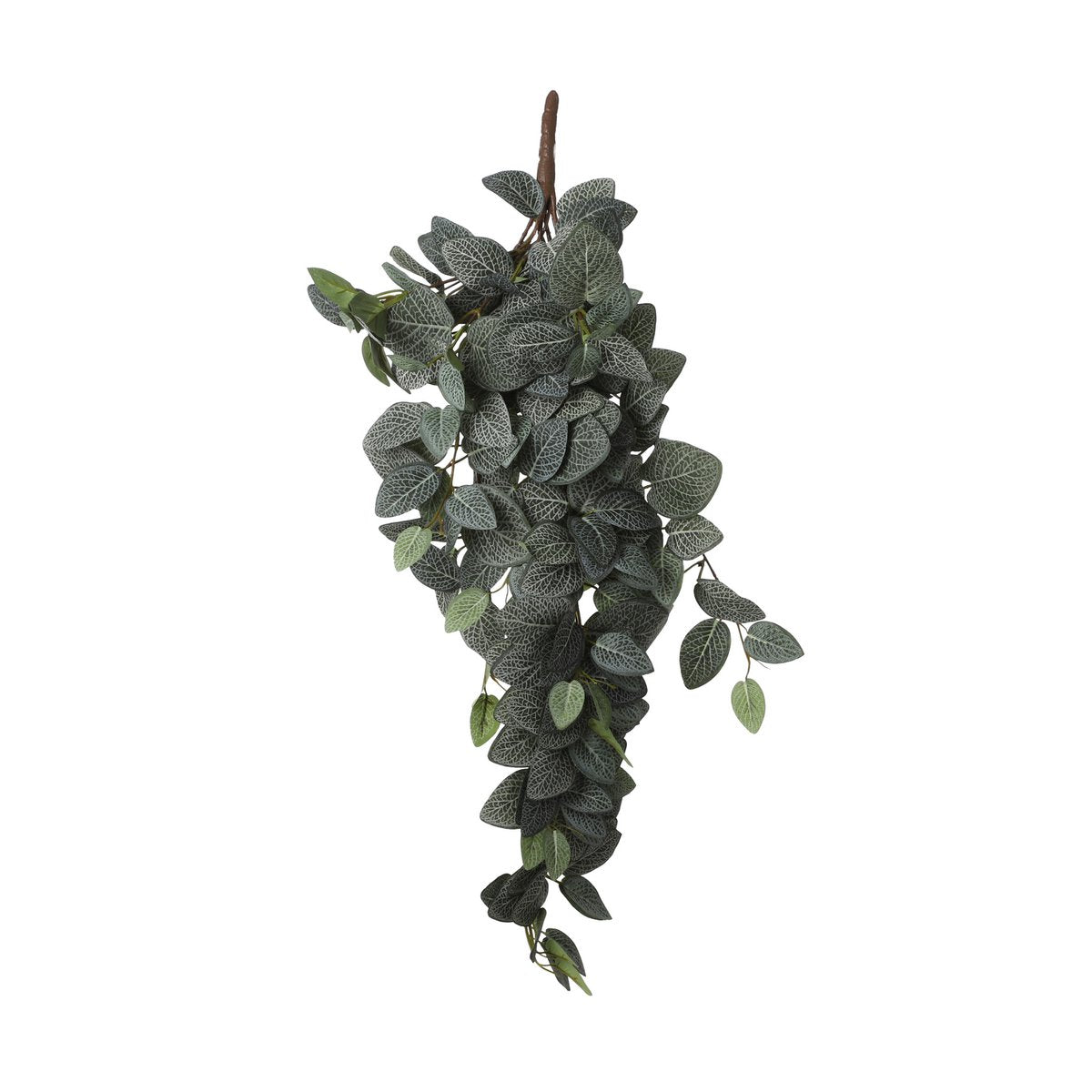 Mica Decorations - Fittonia Kunst Hangplant - L15 x B20 x H54 cm - Groen