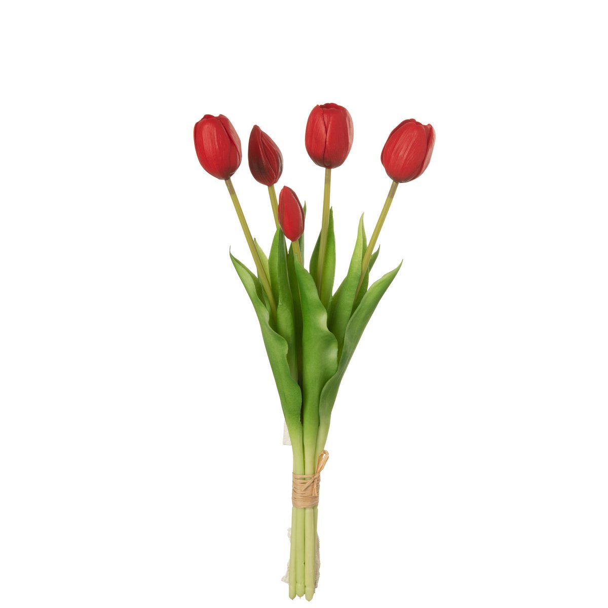 J-Line - Boeket Tulpen 5Stuks Pu Rood Medium