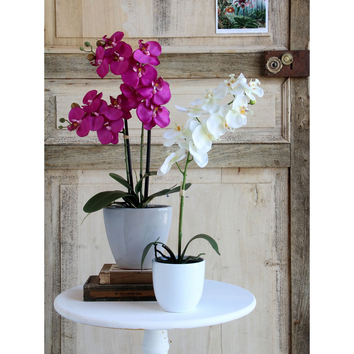 Mica Decorations - Phalaenopsis Kunstplant in Bloempot Tusca - H60 x Ø16 cm - Wit