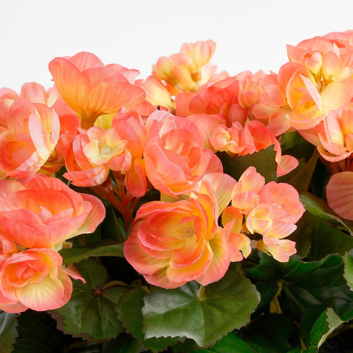 Mica Decorations - Begonia Kunstplant in Balkonbak Slate - L29 x B13 x H25 cm - Zalmroze