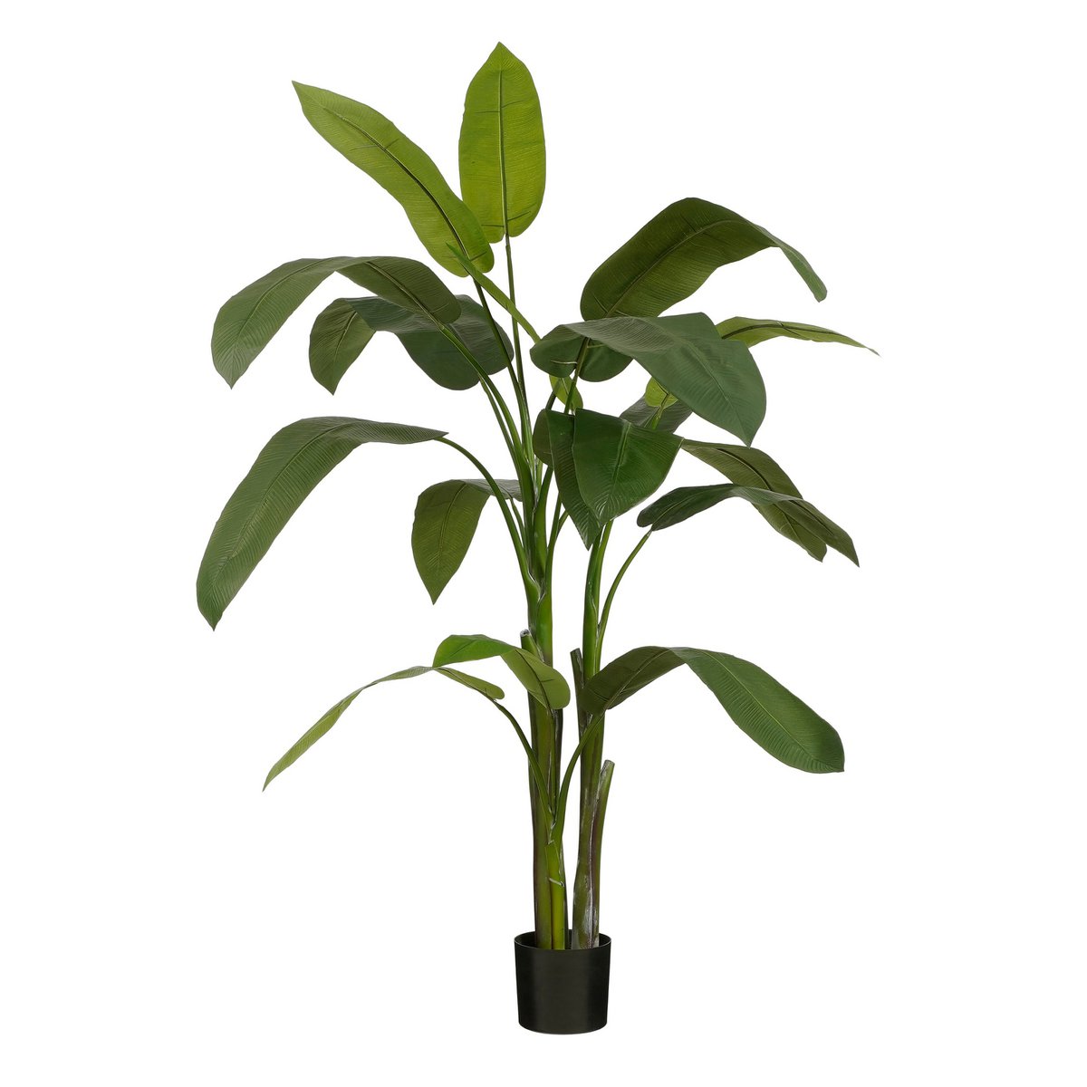 Mica Decorations - Heliconia Kunstplant - H175 x Ø140 cm - Groen