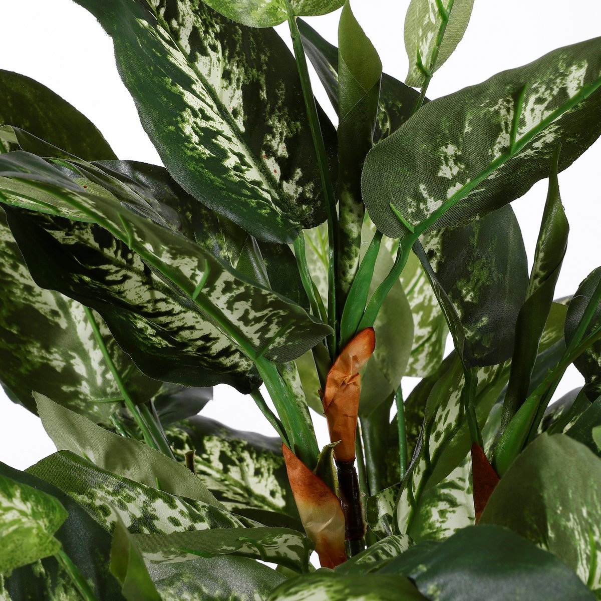 Mica Decorations - Dieffenbachia Kunstplant in Bloempot Stan - H70 x Ø55 cm - Groen