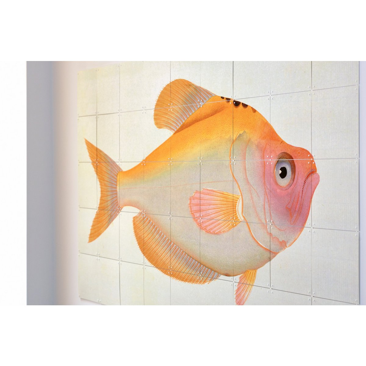 IXXI - Yellow Fish Wall art - Poster - Wanddecoratie - S - yellow