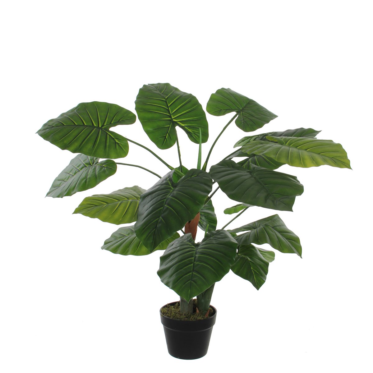 Mica Decorations - Taro Kunstplant - H90 x Ø60 cm - Groen