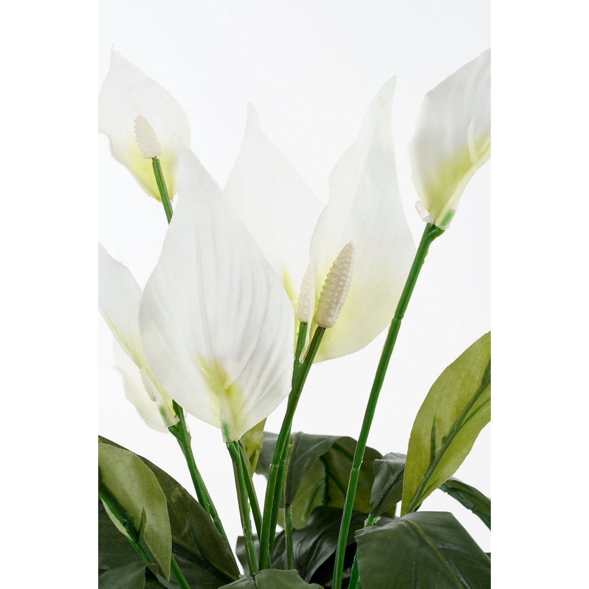 Mica Decorations - Spathiphyllum Kunstplant in Bloempot Stan - H50 x Ø40 cm - Wit