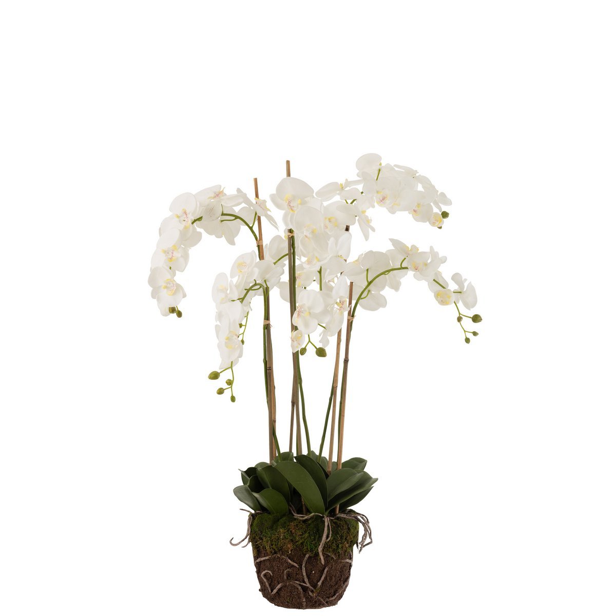 J-Line - Orchidee In Aarde Plastic Wit/Groen Extra Large